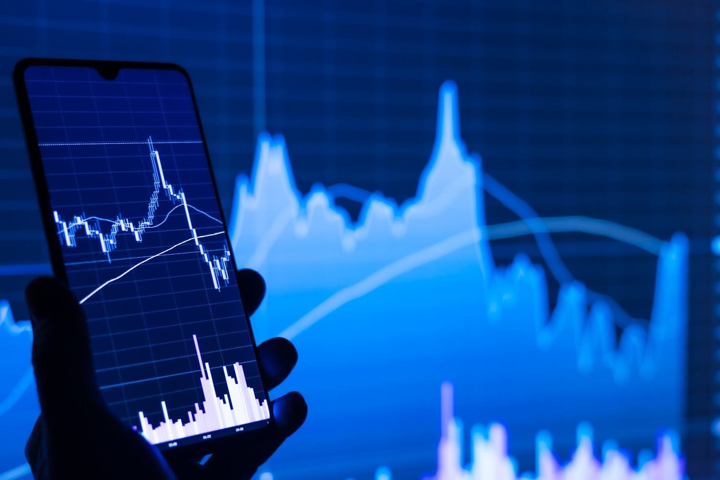 Navigating Financial Volatility With Expert Guidance